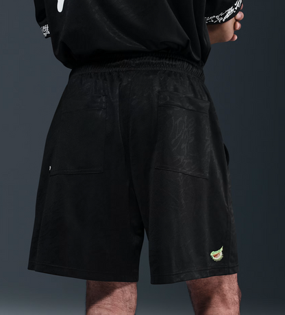 Nike SB Dri-FIT Skate Shorts